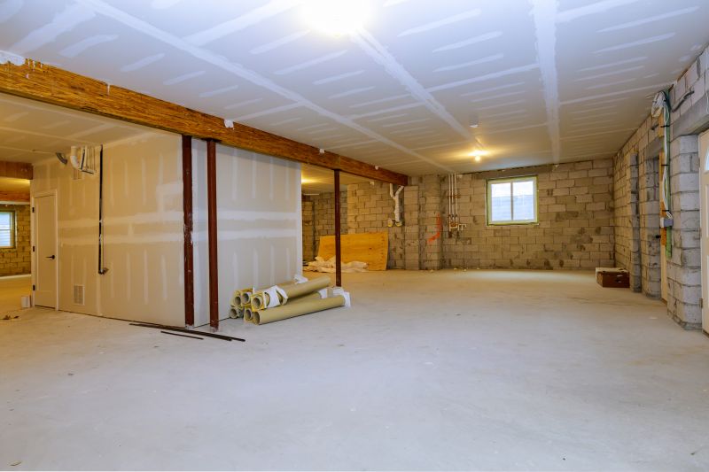 Summer Basement Renovation