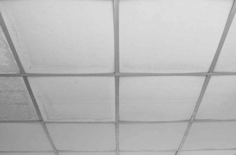 Ceiling Tiles Repair in Boulder, CO