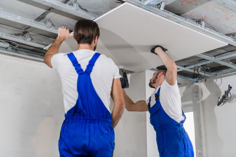 Specialized Ceiling Installers